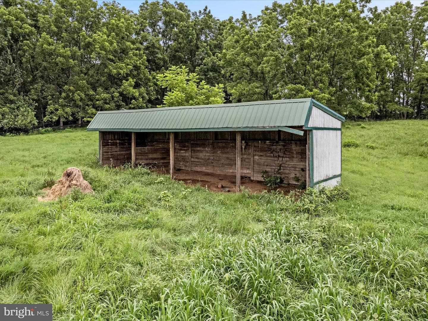 3959 Cobbler Mountain Road photo 89