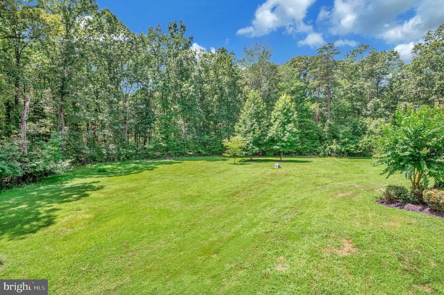 11511 Bristersburg Road photo 15