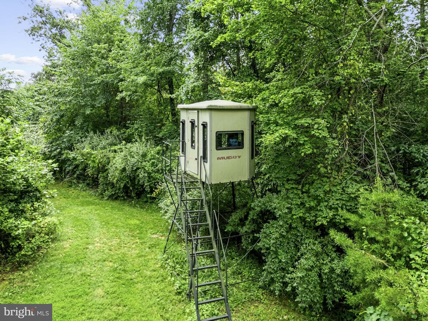 7484 Wilson Road photo 72