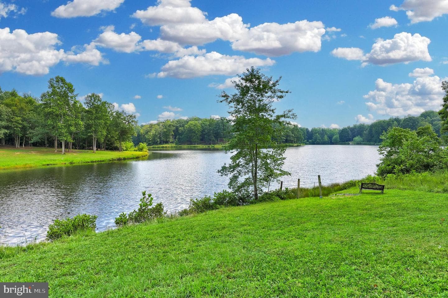12587 Lake Coventry Drive photo 40