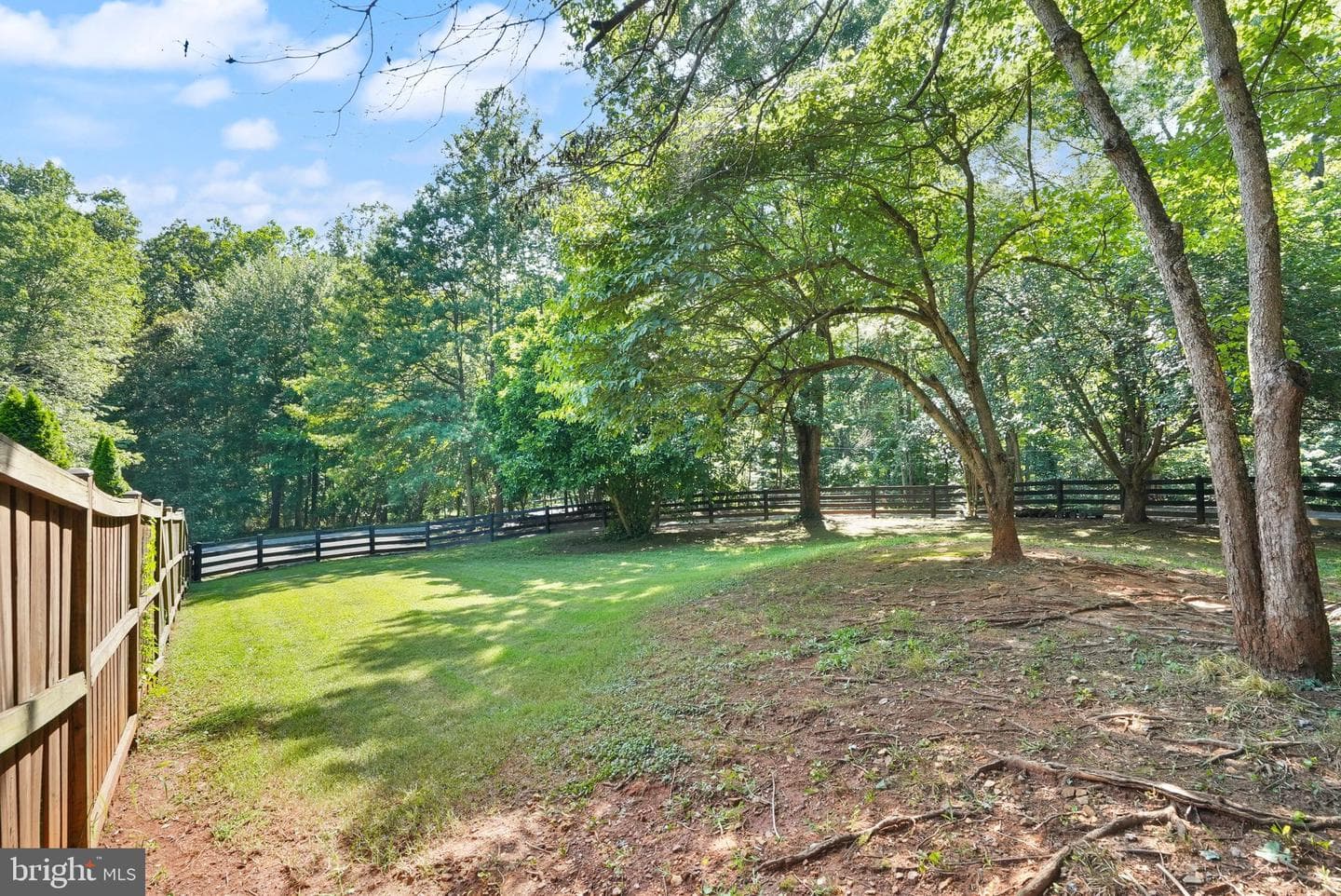 5612 Raider Drive photo 63