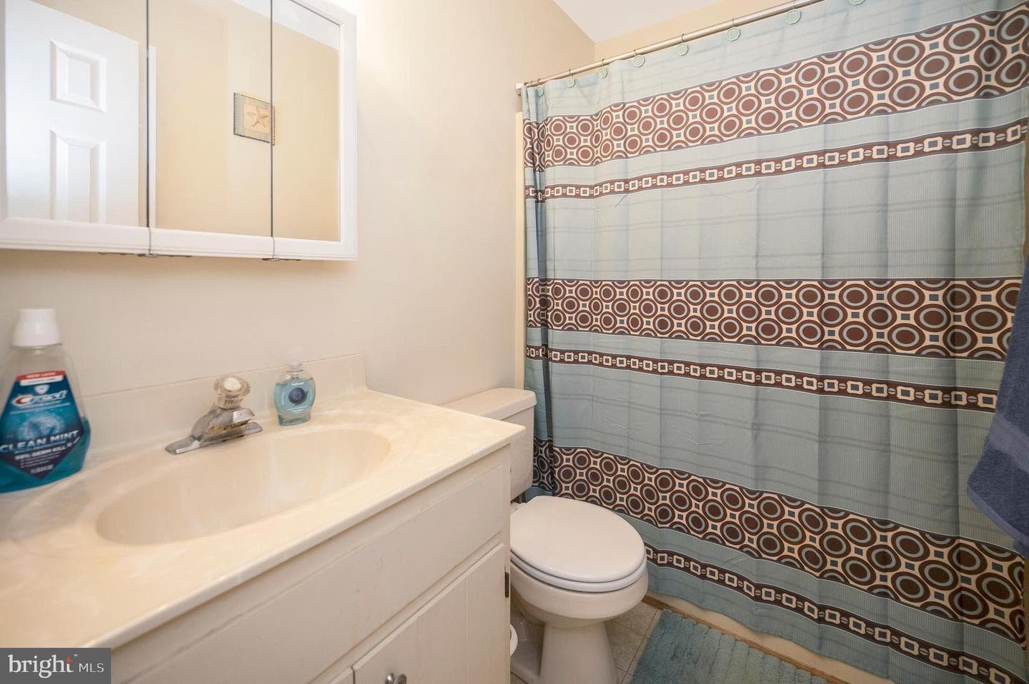 11264 Falling Creek Drive photo 19