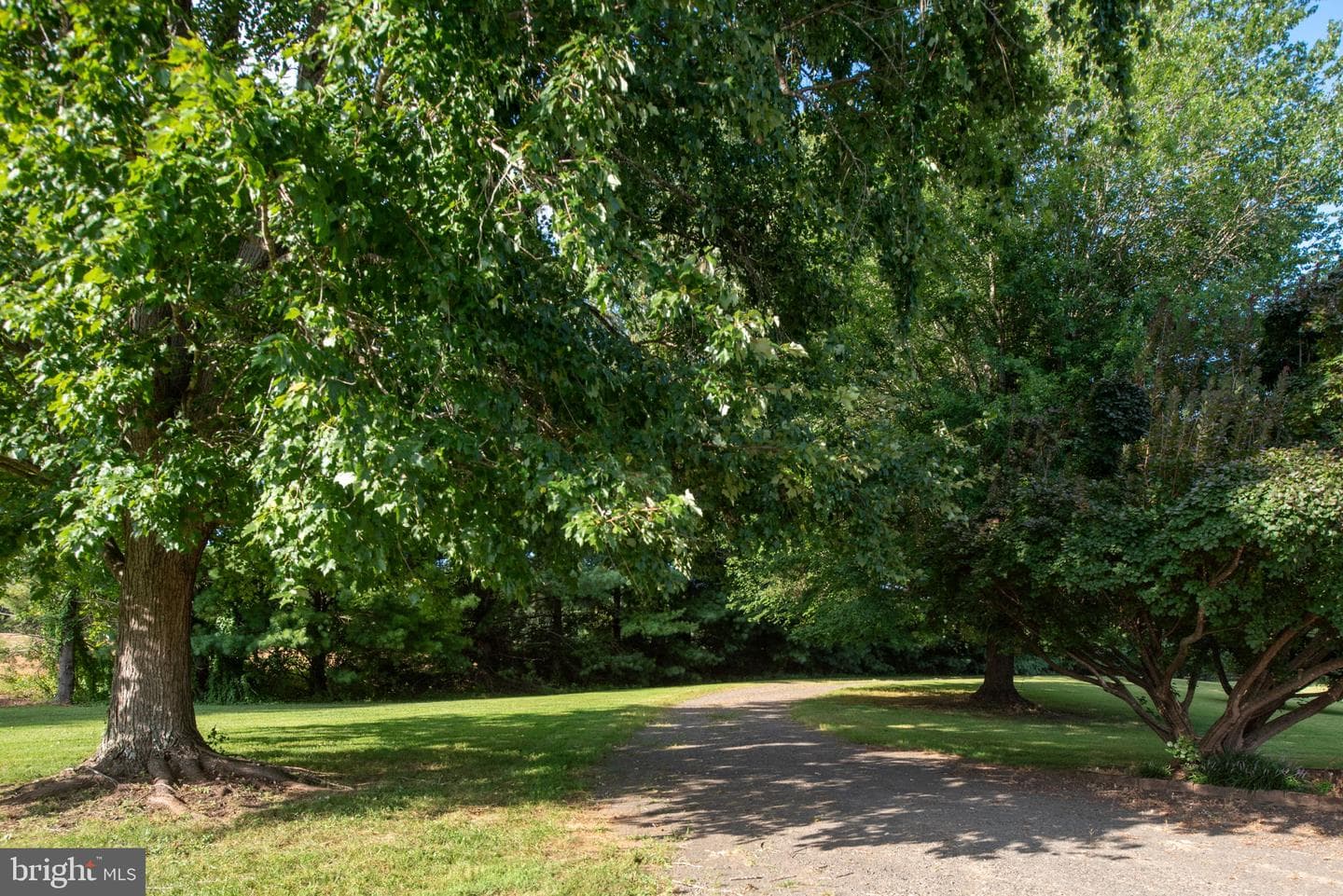 9124 Green Road photo 112