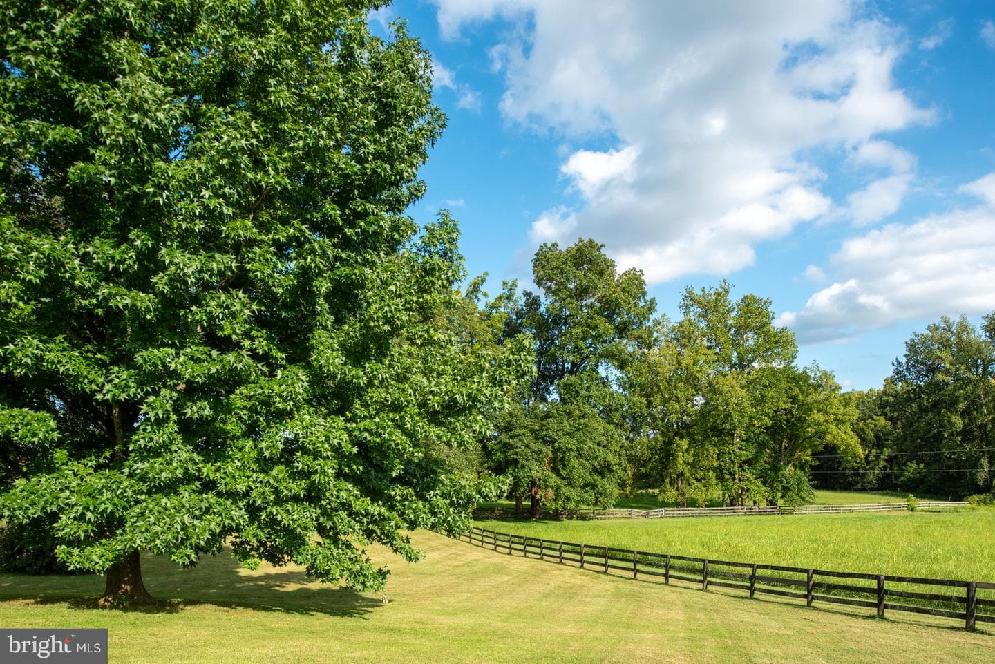 9124 Green Road photo 93