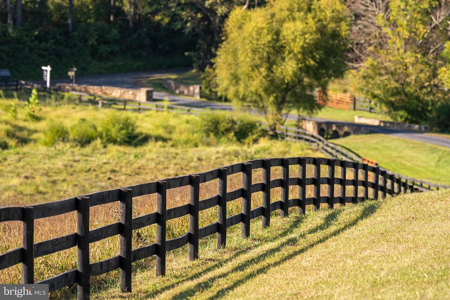 3707 Carrington Road photo 11