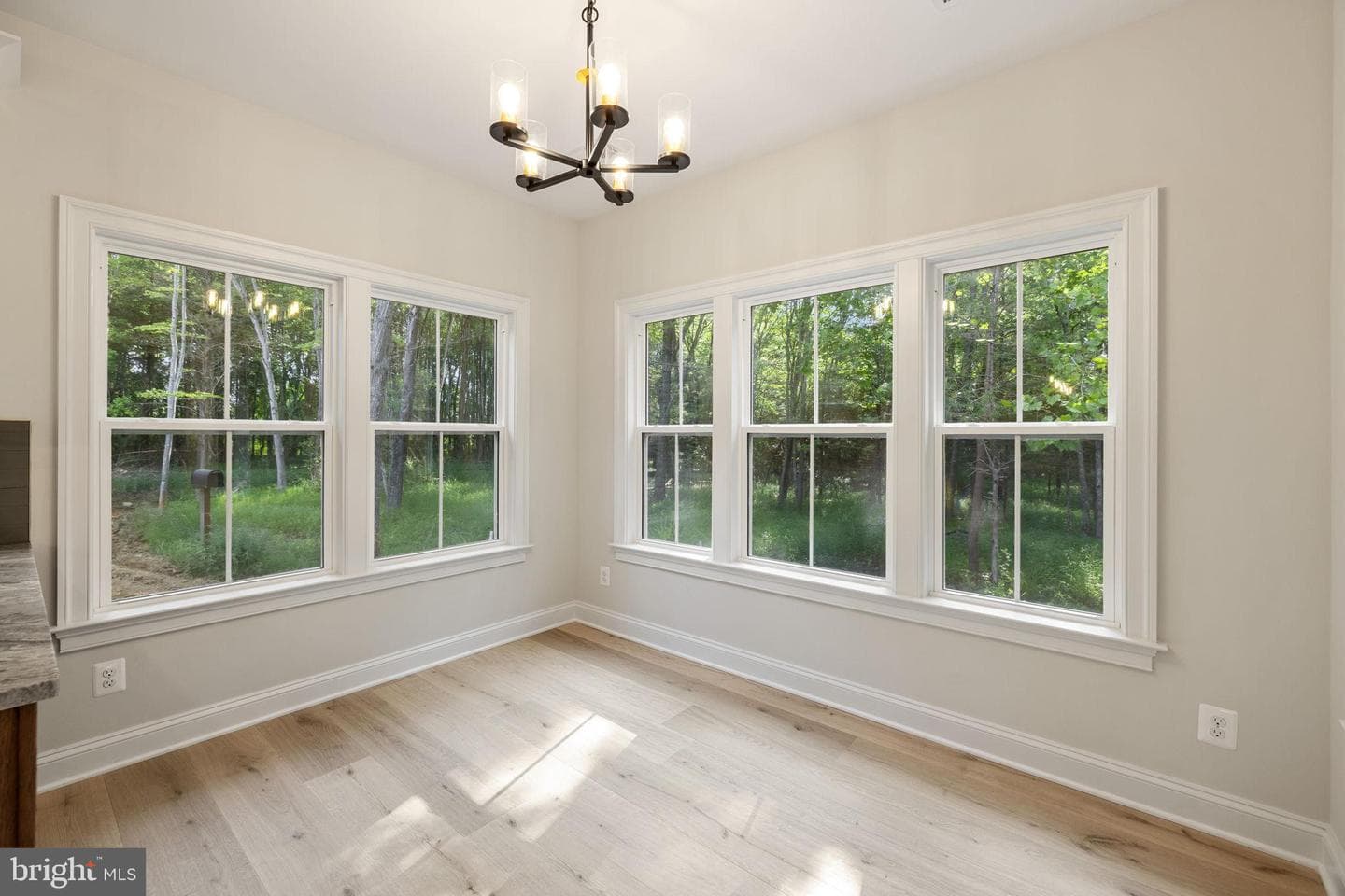 7329 Riley Road photo 38