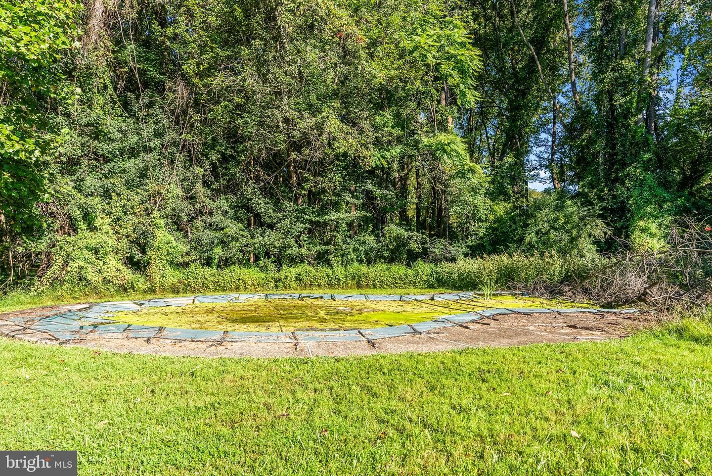 5312 Washwright Road photo 49