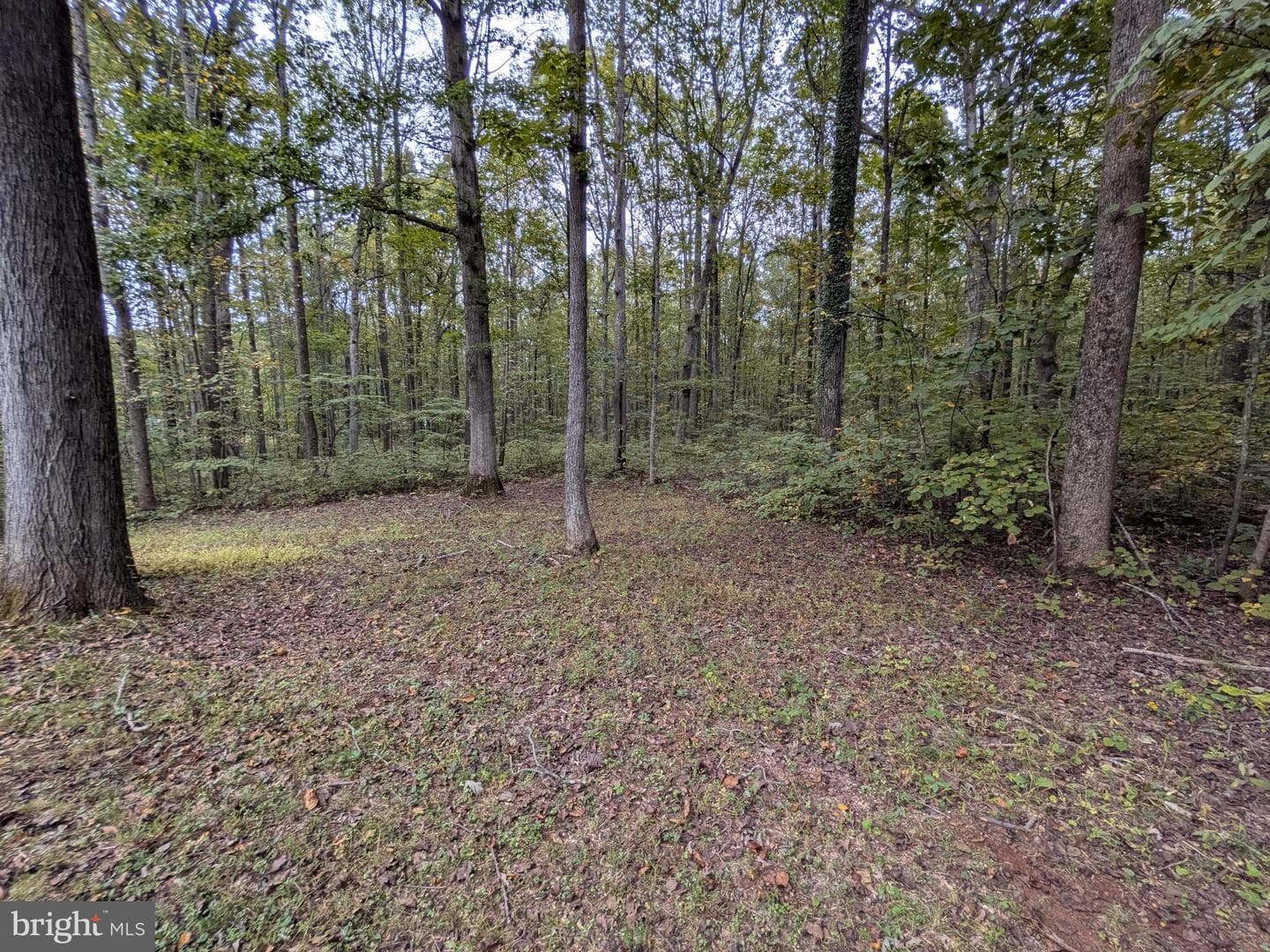 9511 Rogues Road photo 33