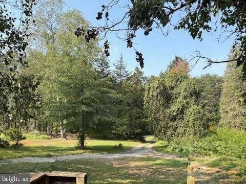 10789 Brent Town Road photo 7