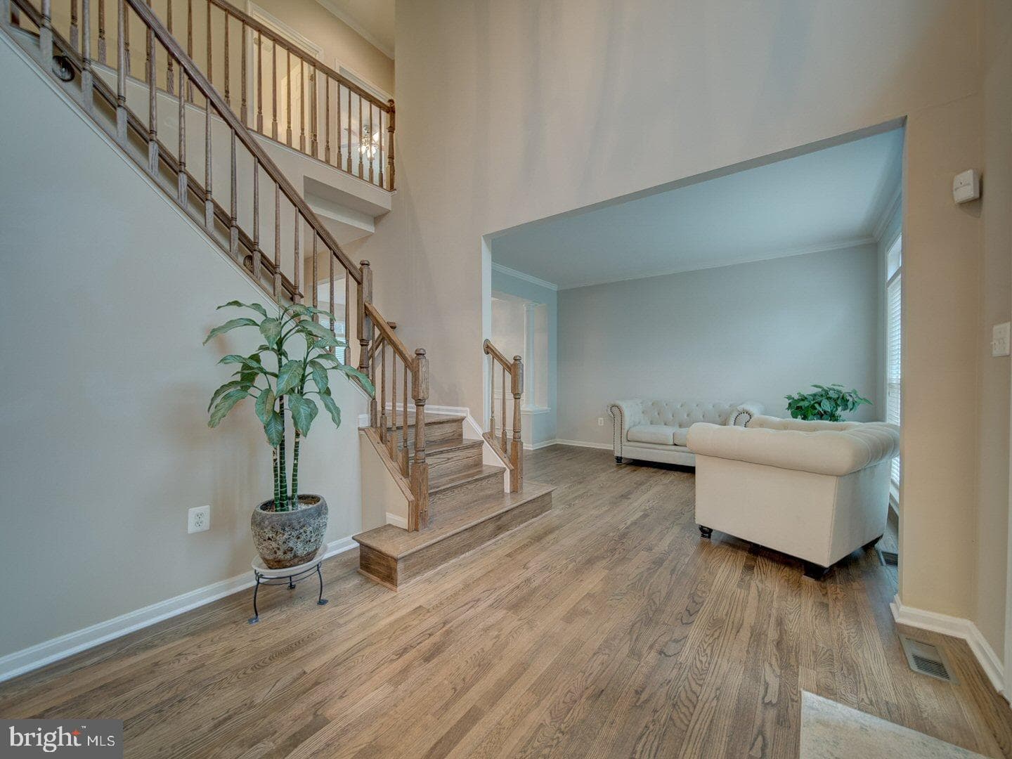 589 Pineview Court photo 3
