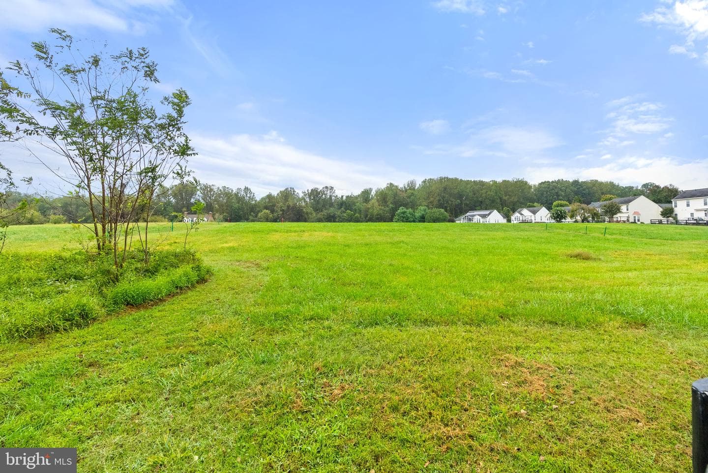 6704 Holly Farm Lane #204 photo 45