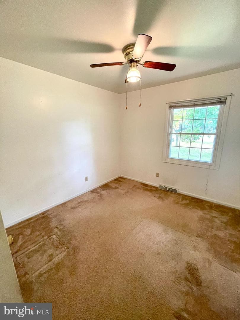 351 Chappell Street photo 10