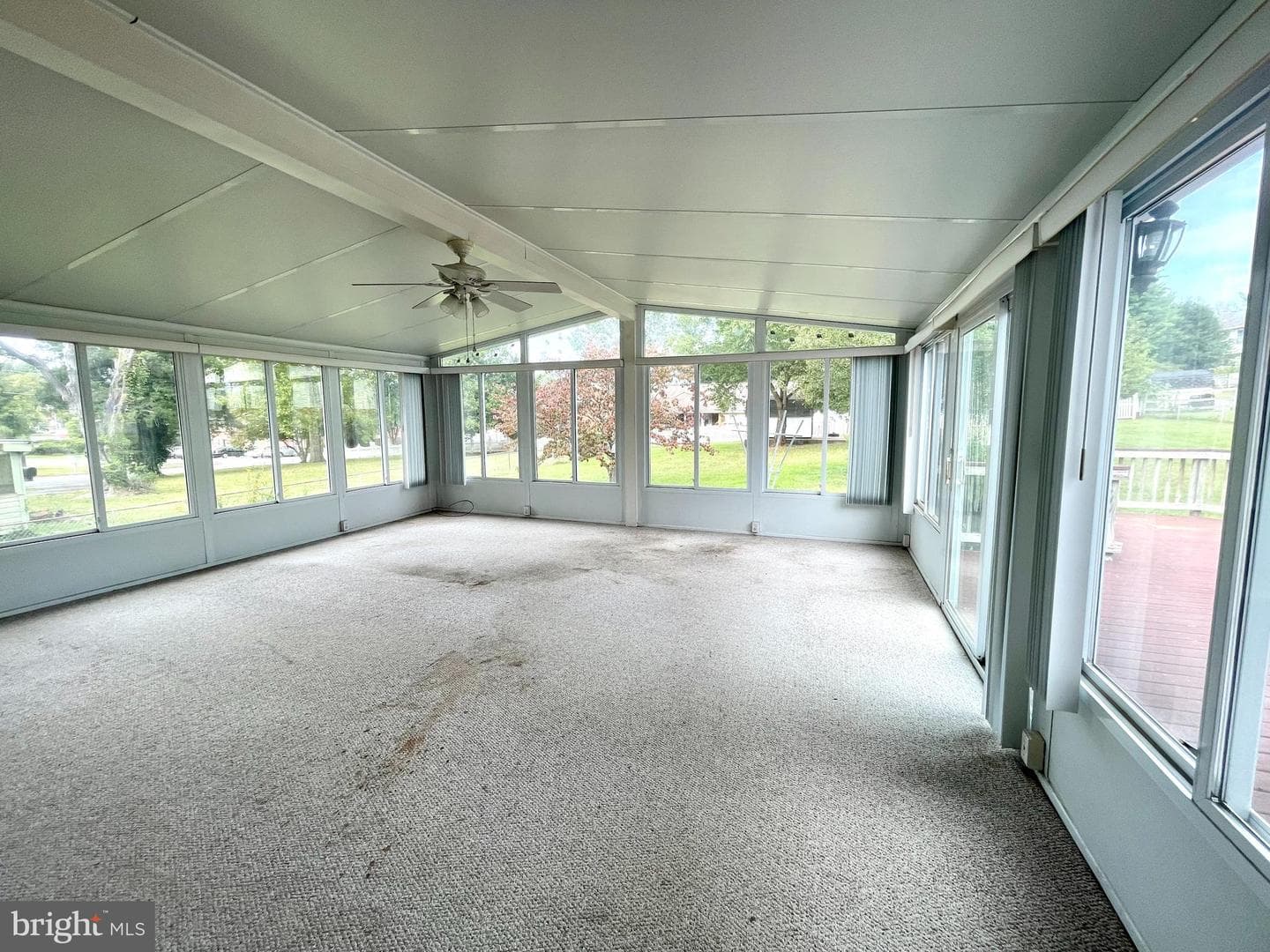 351 Chappell Street photo 24