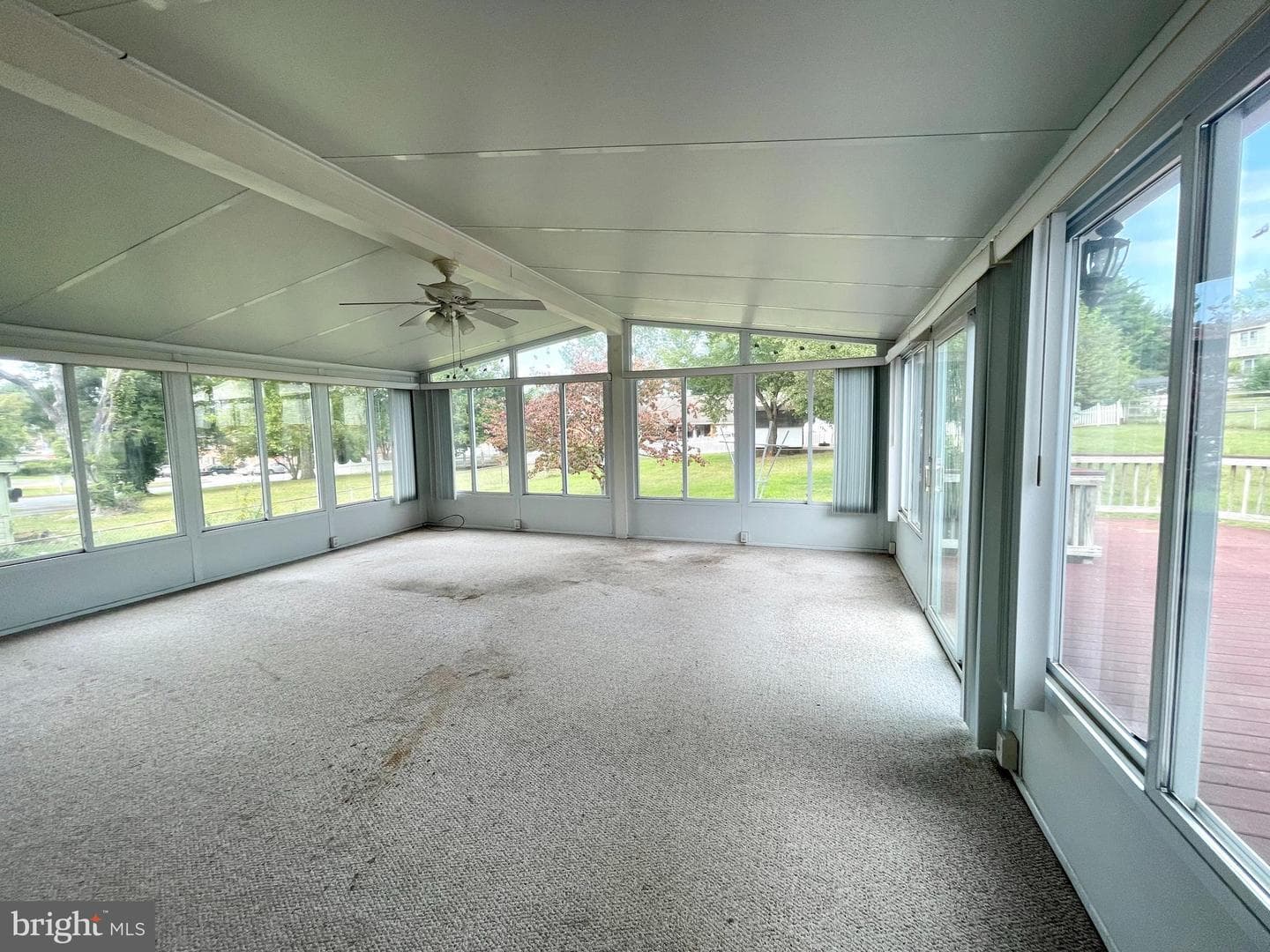351 Chappell Street photo 25