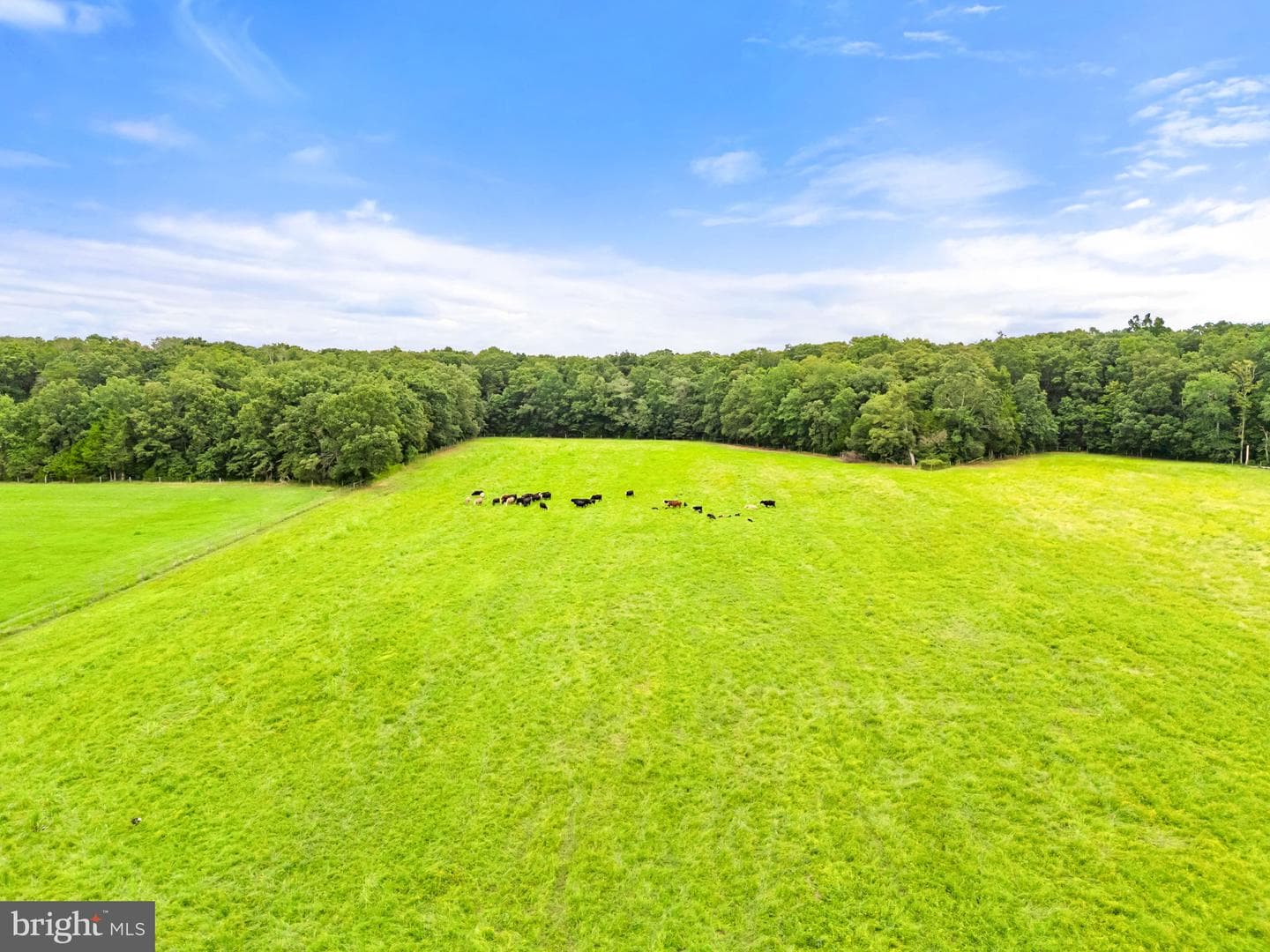 5364 Woodside Lane photo 106