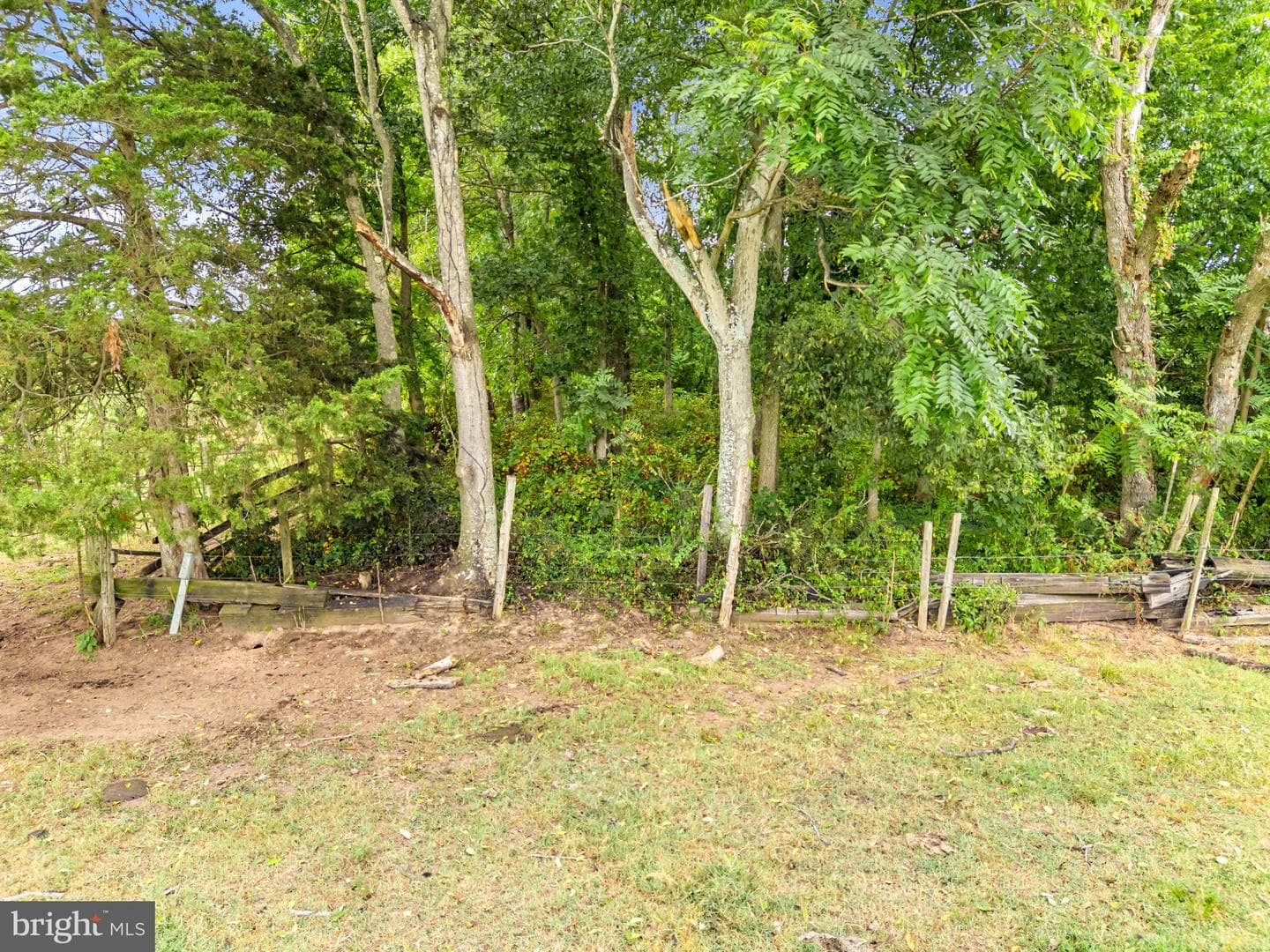 5364 Woodside Lane photo 119