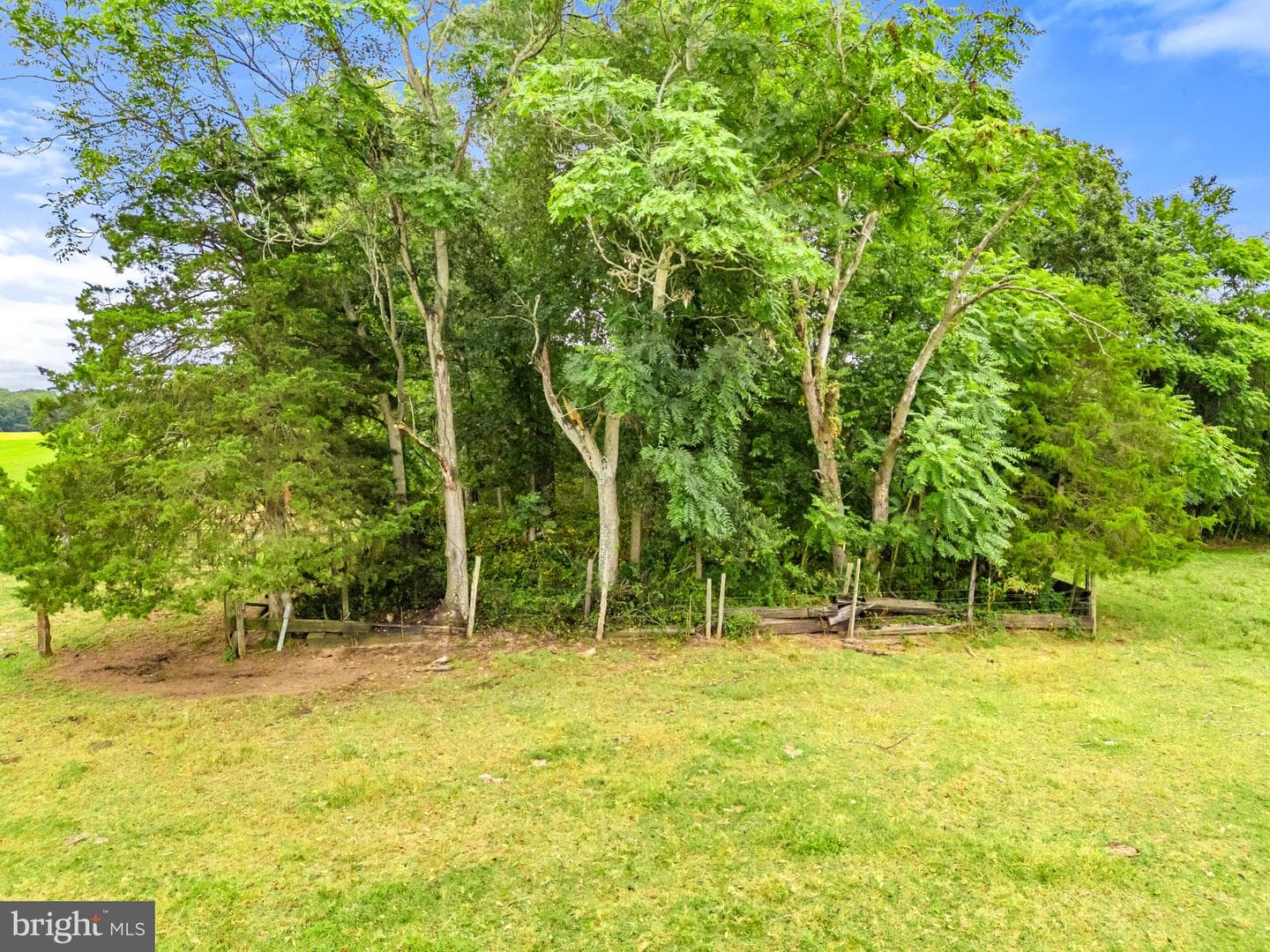 5364 Woodside Lane photo 120
