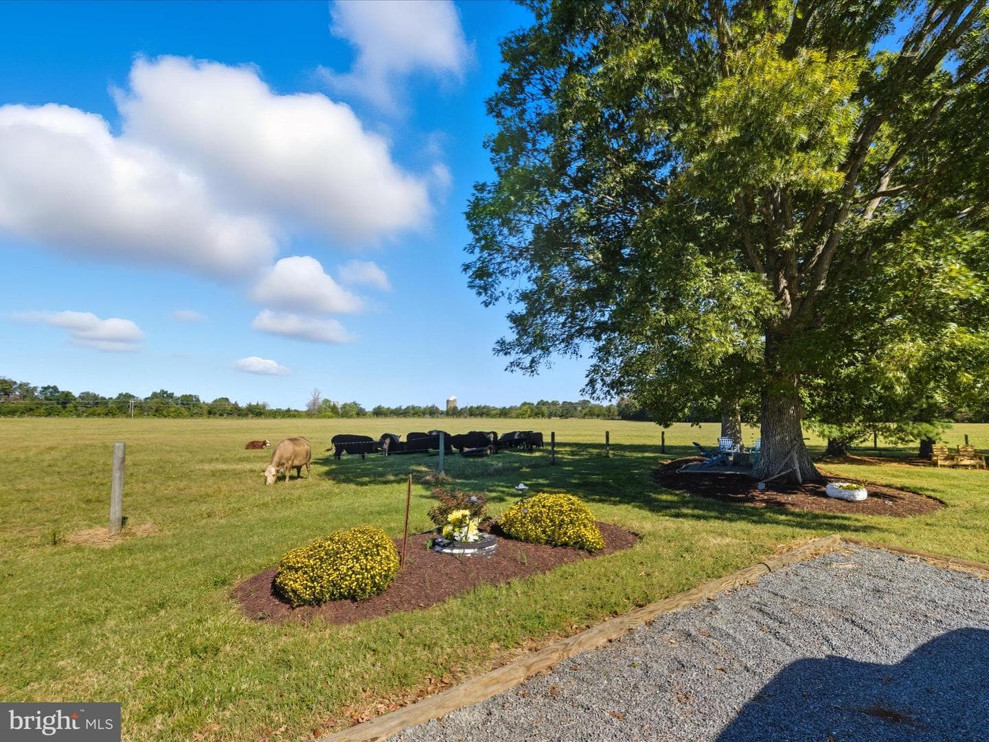 5364 Woodside Lane photo 42