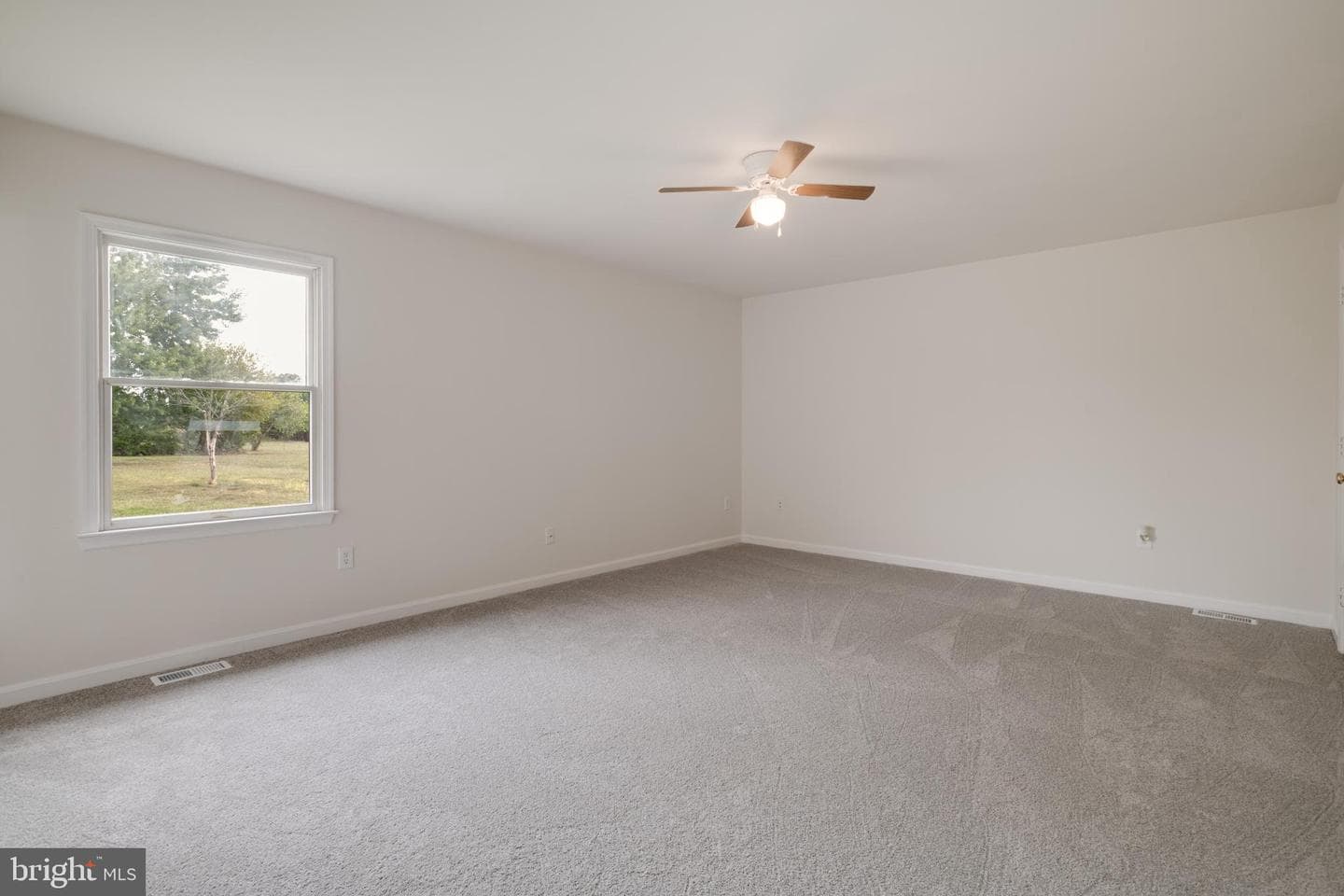 11241 Craig Lane photo 14