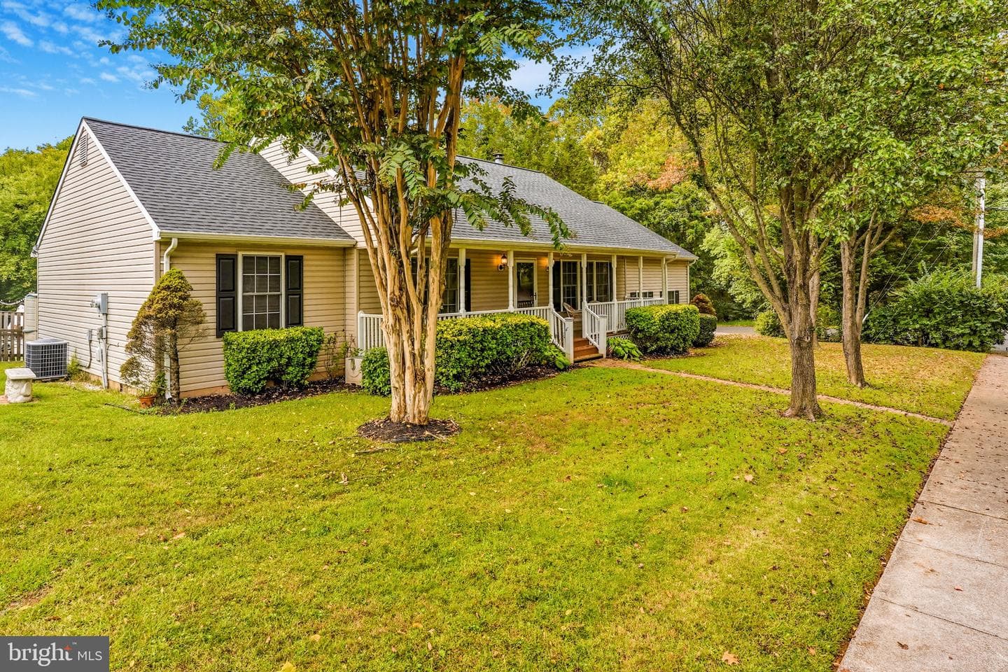 7785 Millfield Drive photo 3