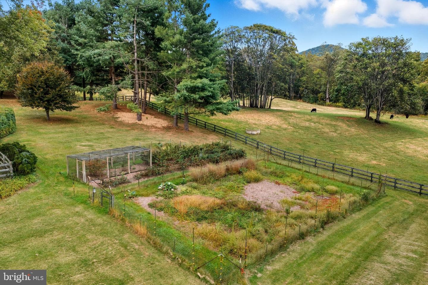 10603 Ramey Road photo 44