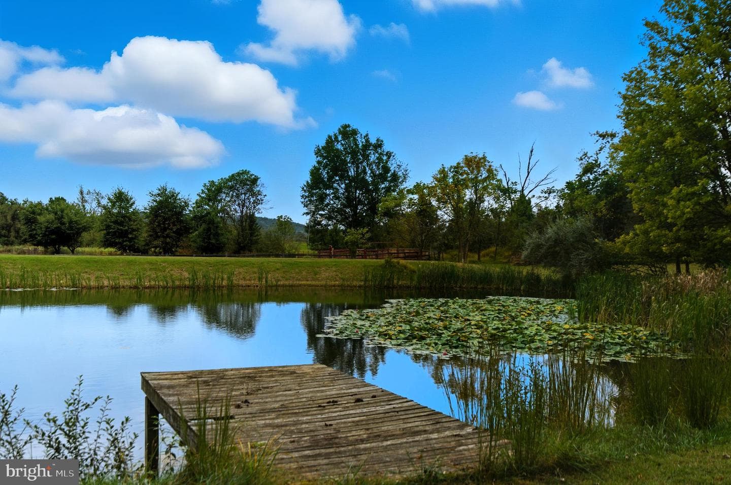 10603 Ramey Road photo 47