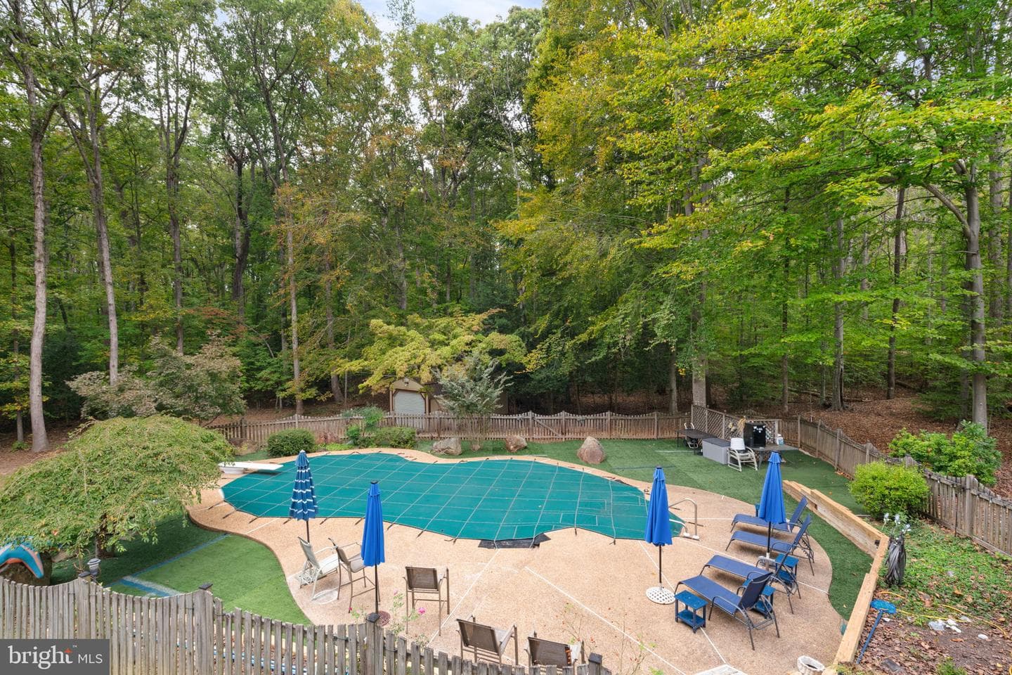 12586 Lake Coventry Drive photo 10