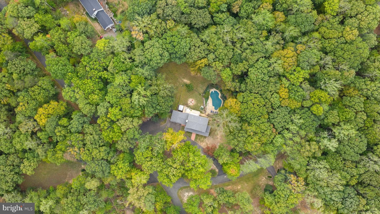 12586 Lake Coventry Drive photo 47
