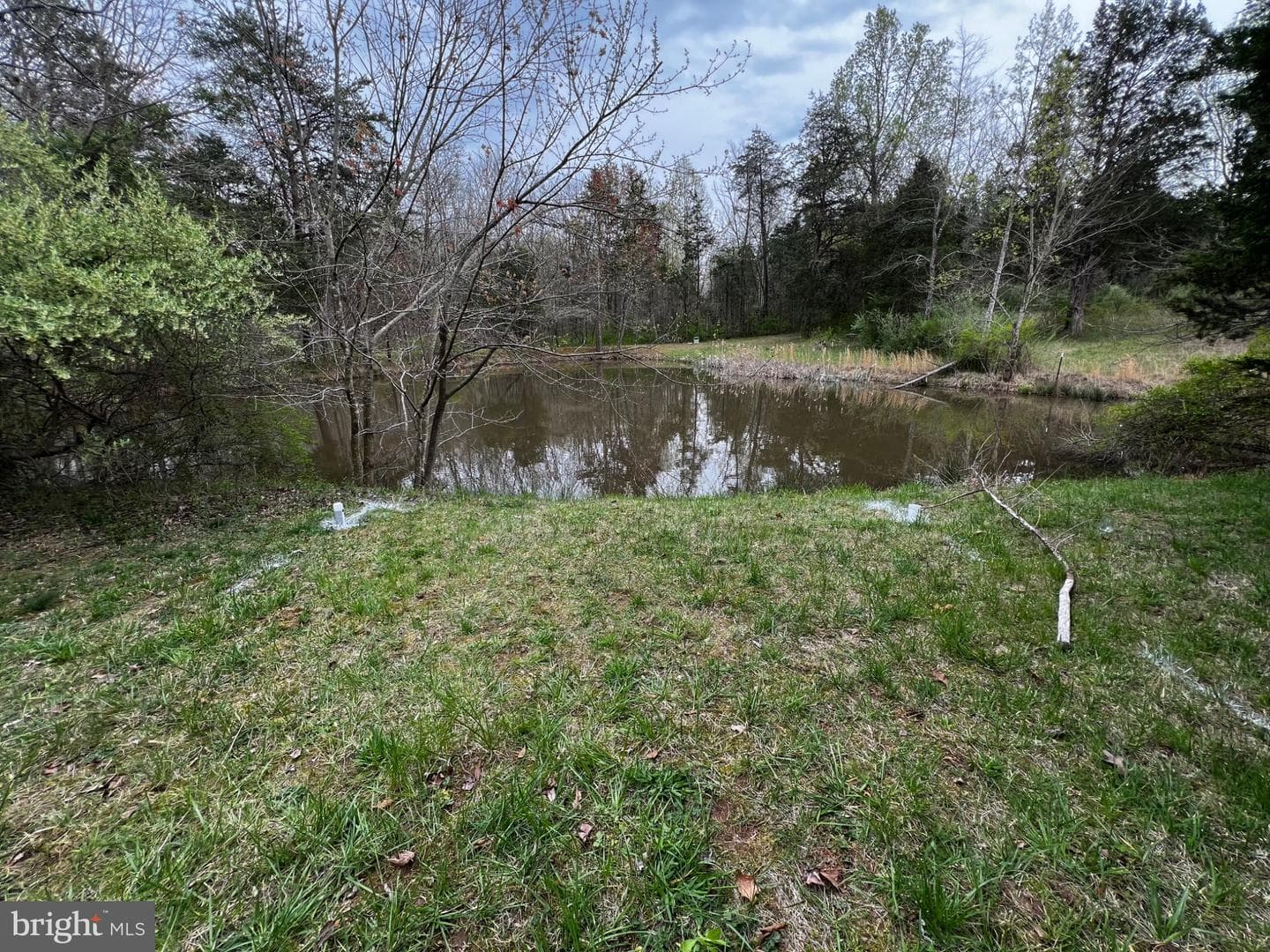 4561 Weston Road photo 5