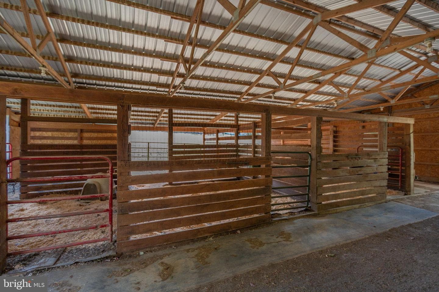 13206 Golden Drive photo 108