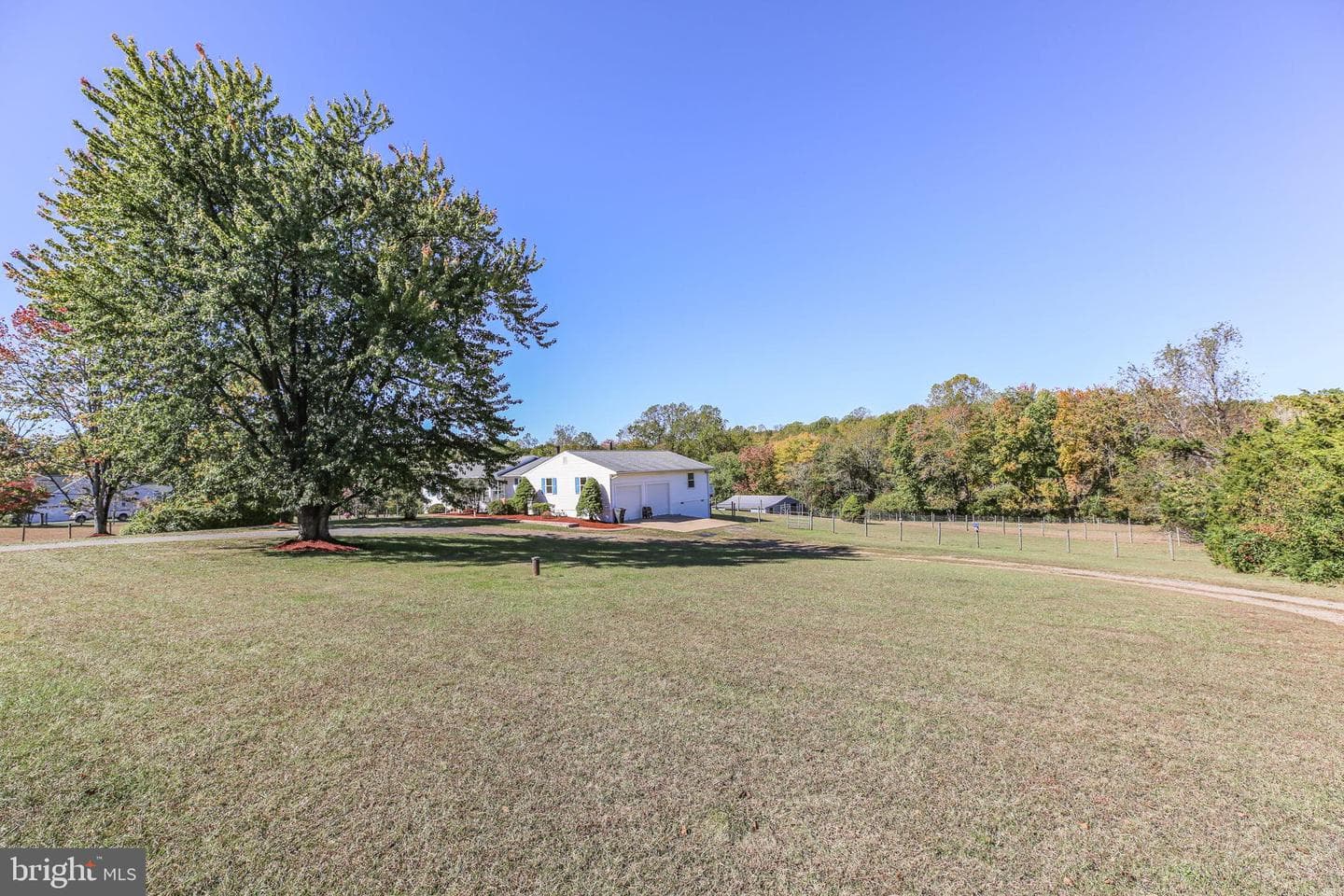 13206 Golden Drive photo 4