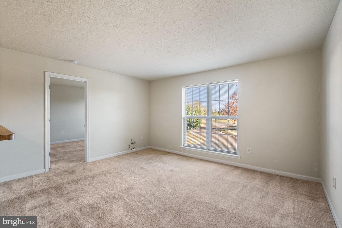 11238 Torrie Way #h photo 13