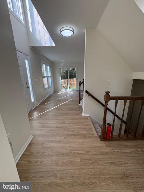 748 Cherry Tree Lane photo 10