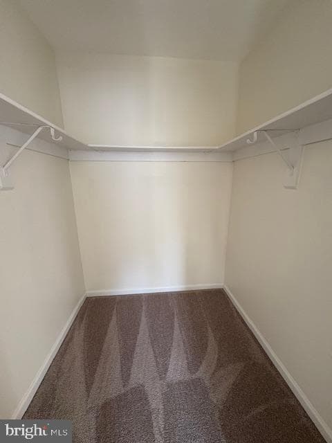 748 Cherry Tree Lane photo 15