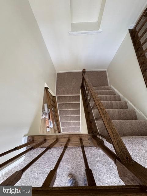 748 Cherry Tree Lane photo 21