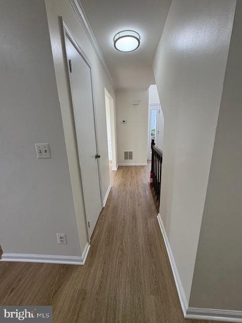 748 Cherry Tree Lane photo 26