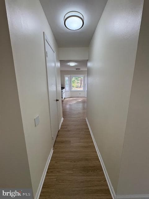 748 Cherry Tree Lane photo 5