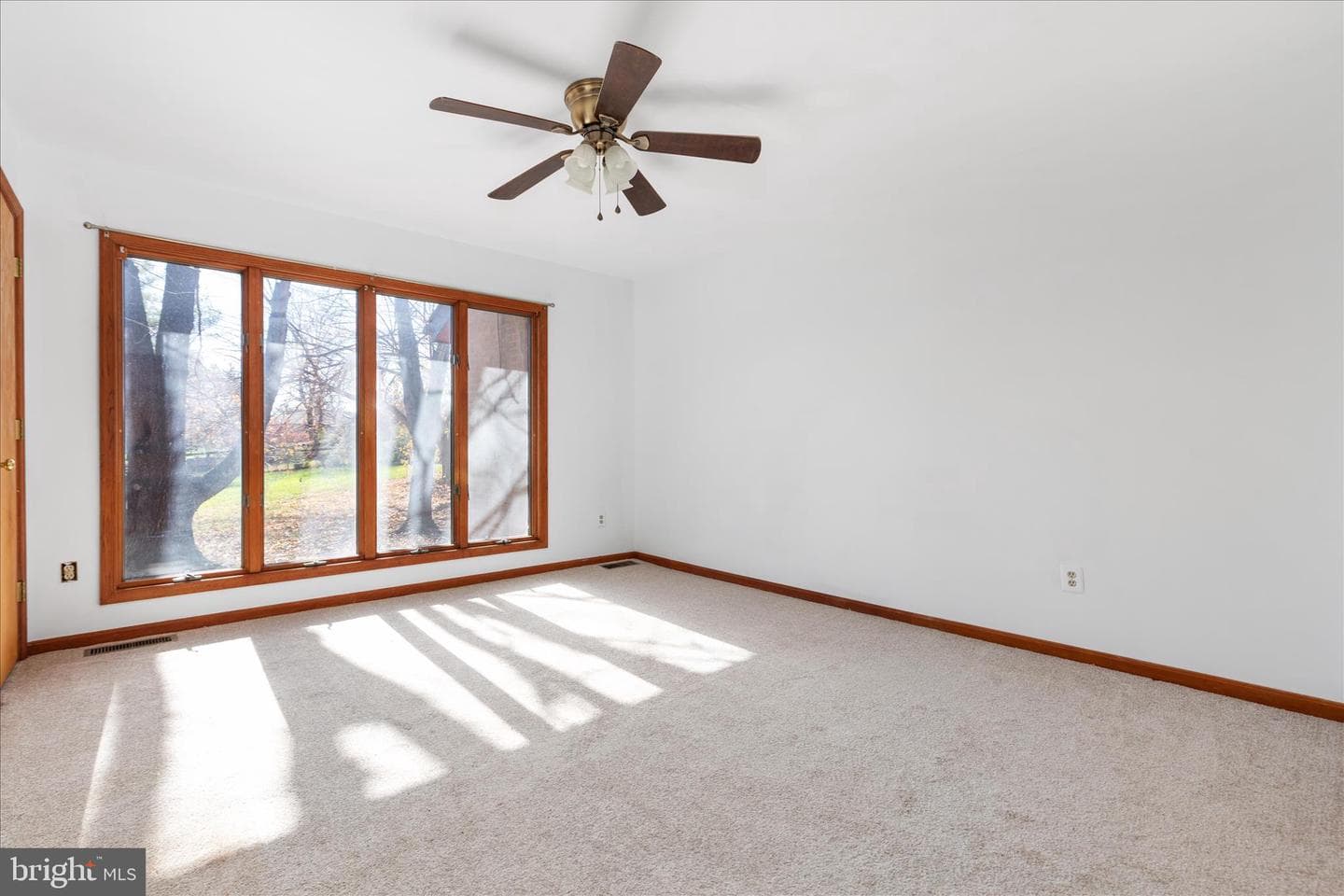 6241 Deborah Drive photo 22