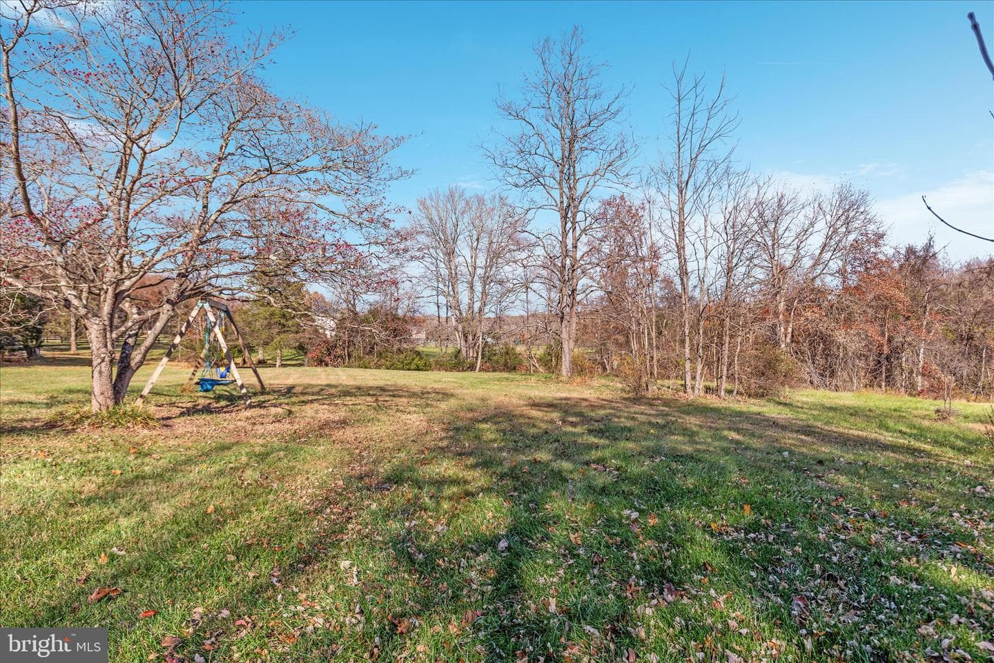 6241 Deborah Drive photo 50