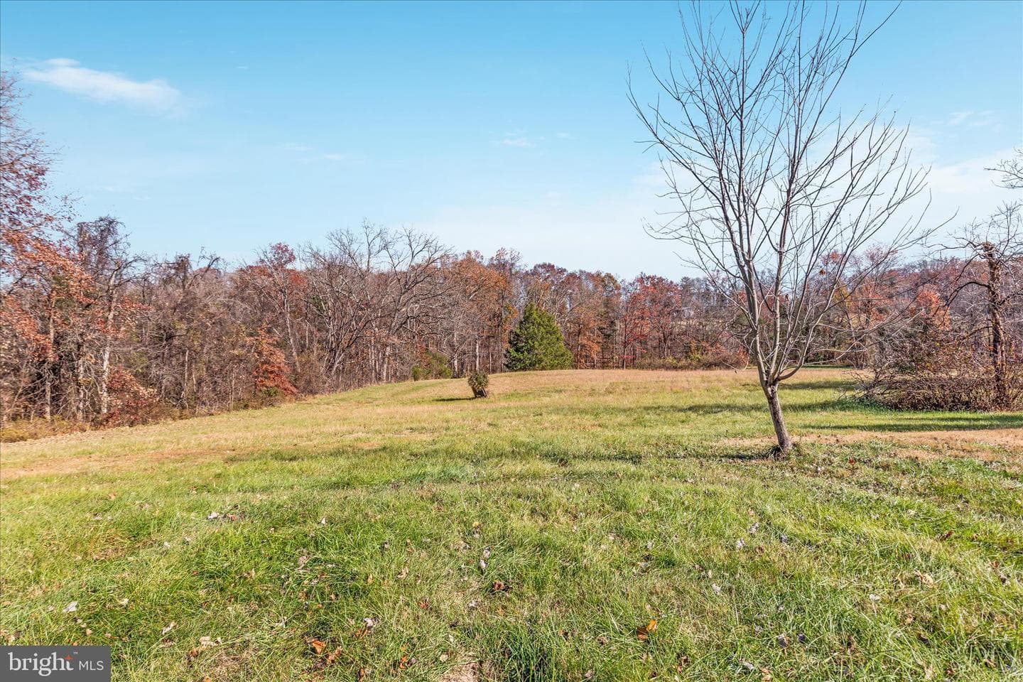 6241 Deborah Drive photo 52