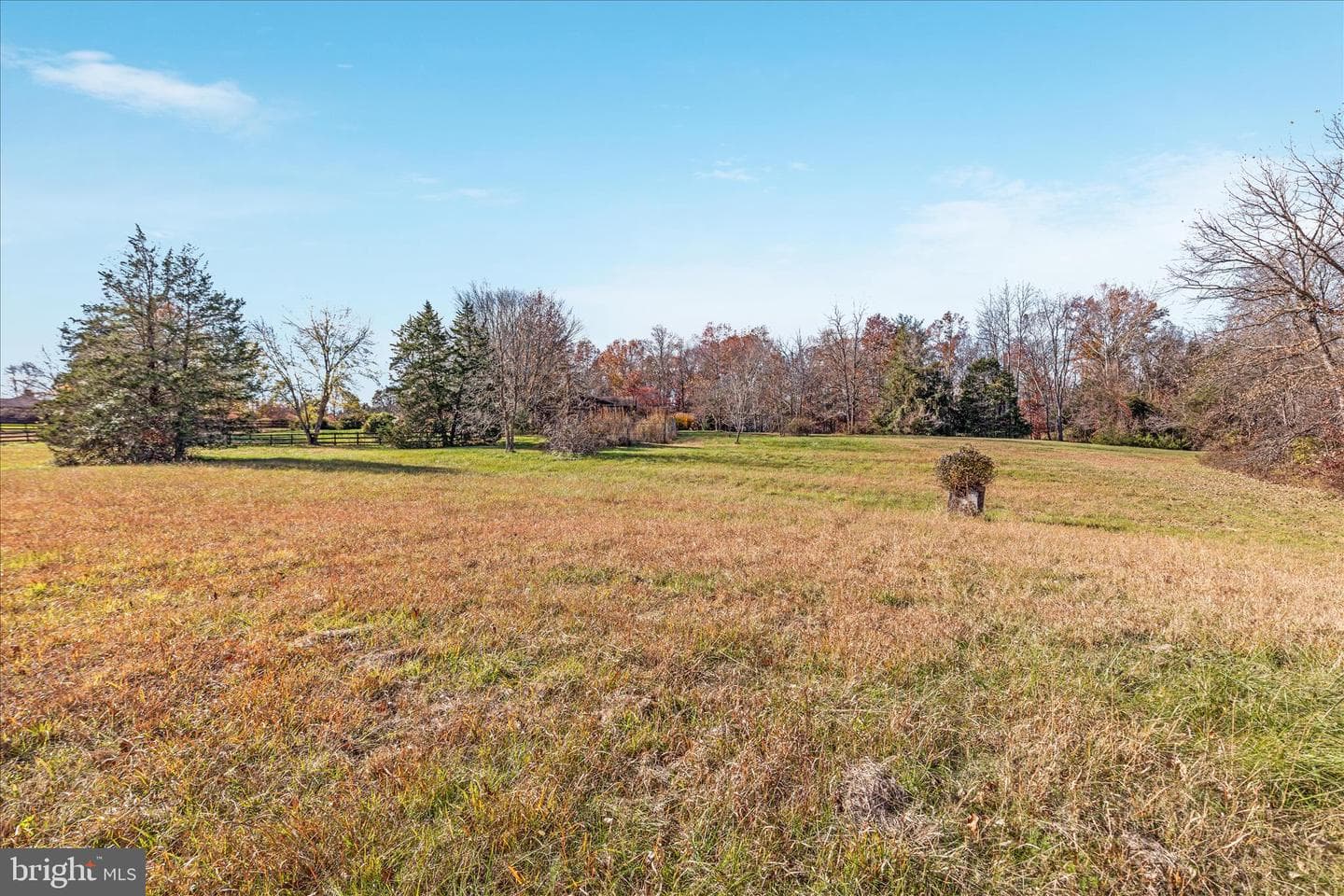6241 Deborah Drive photo 53