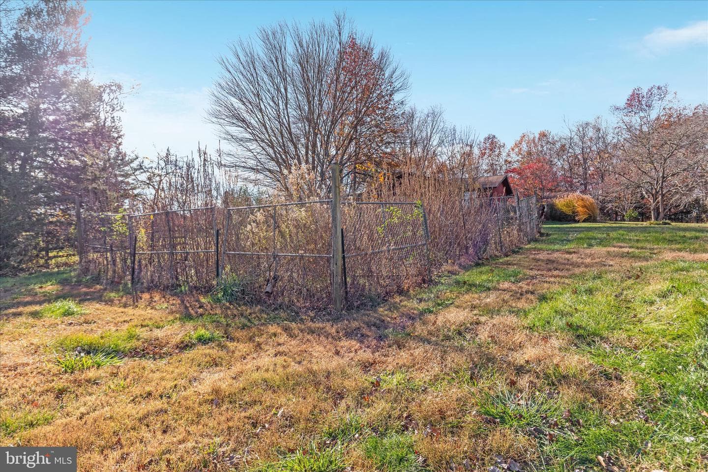 6241 Deborah Drive photo 57