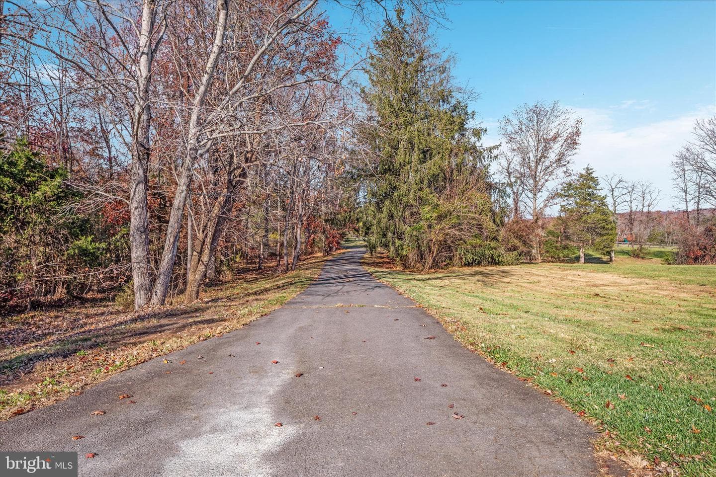 6241 Deborah Drive photo 66