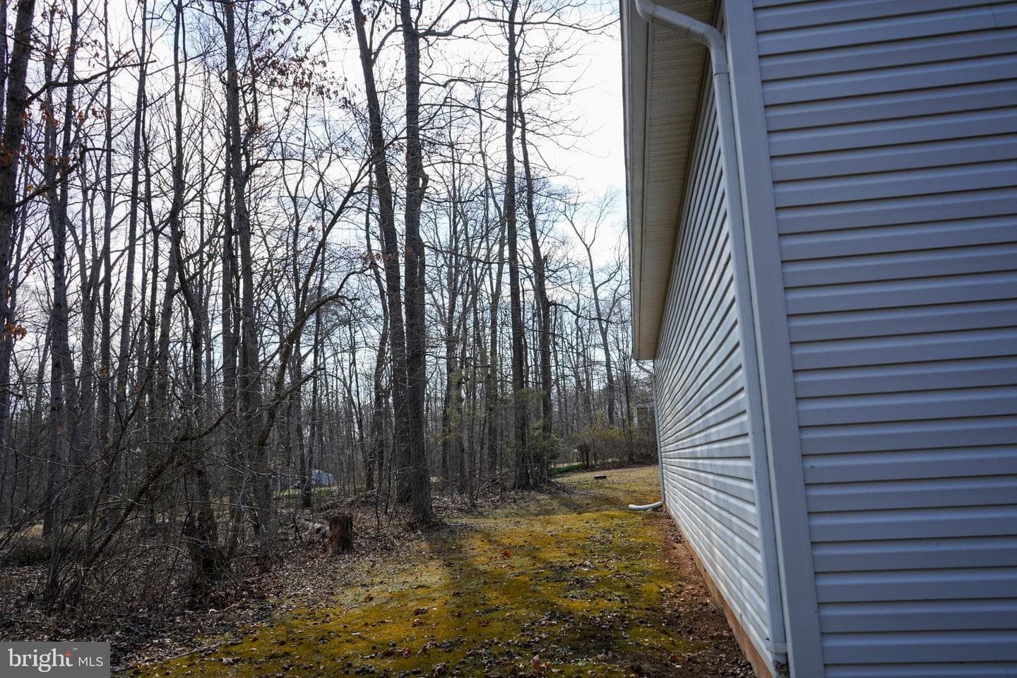 7323 Okeefe Road photo 38