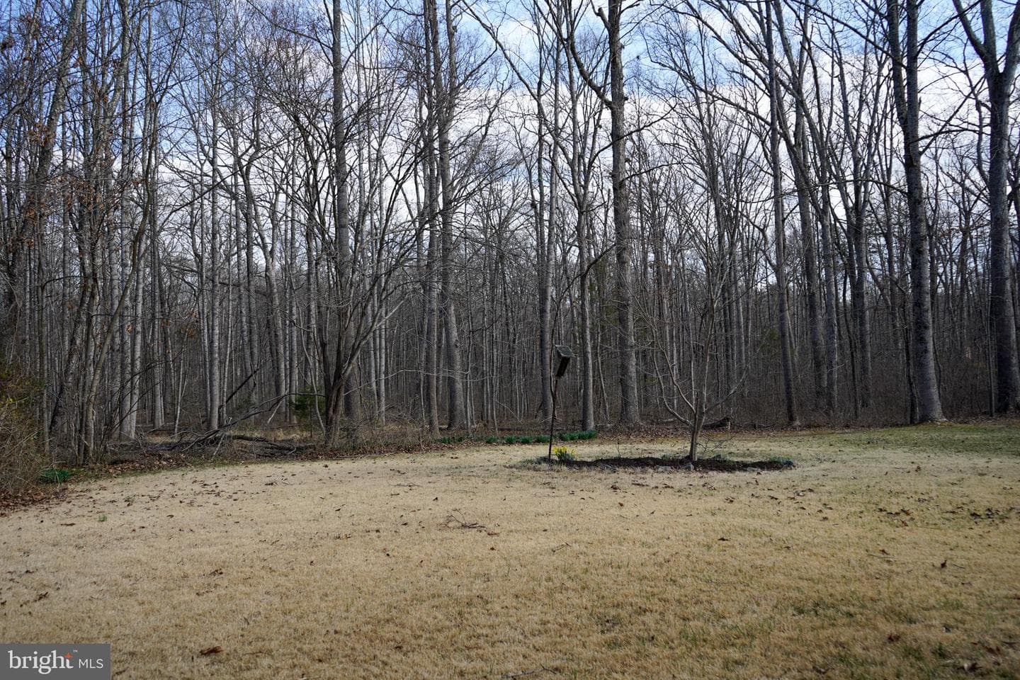 7323 Okeefe Road photo 45