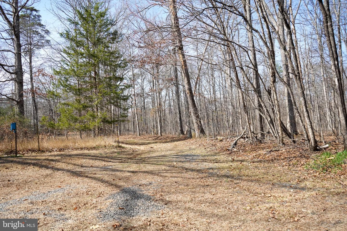 7323 Okeefe Road photo 47