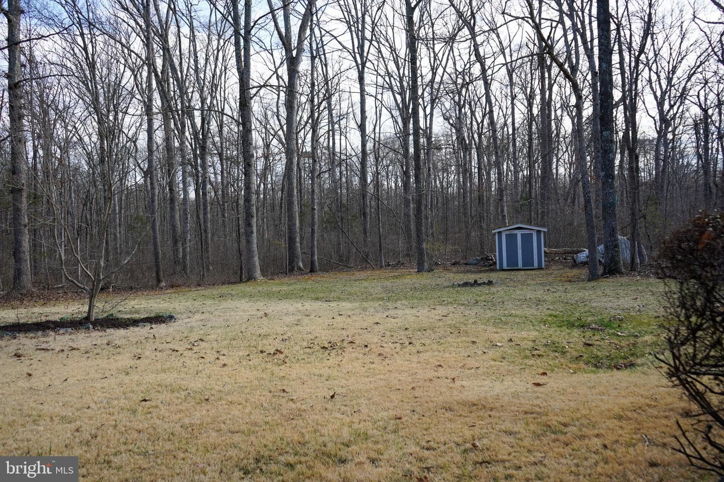 7323 Okeefe Road photo 48