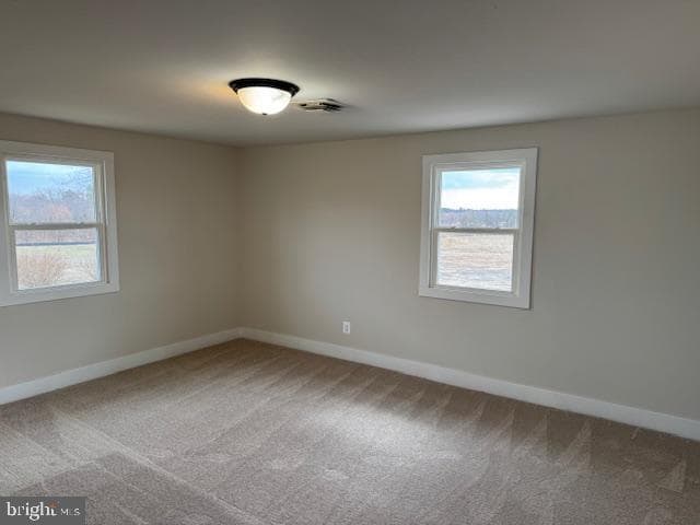 3005 Bowens Run Road photo 15