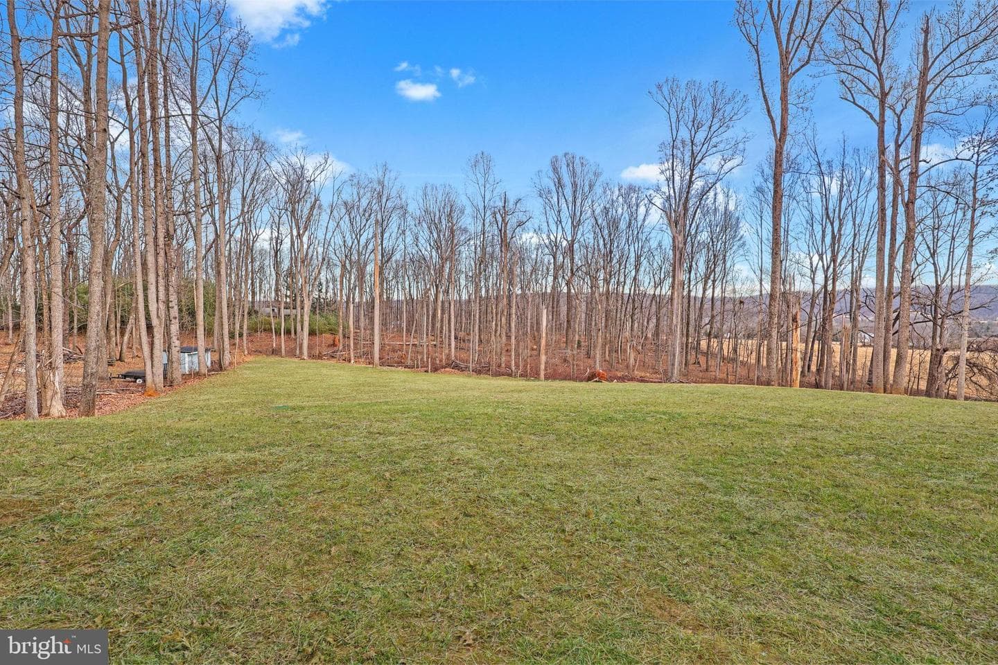 5393 Merry Oaks photo 48