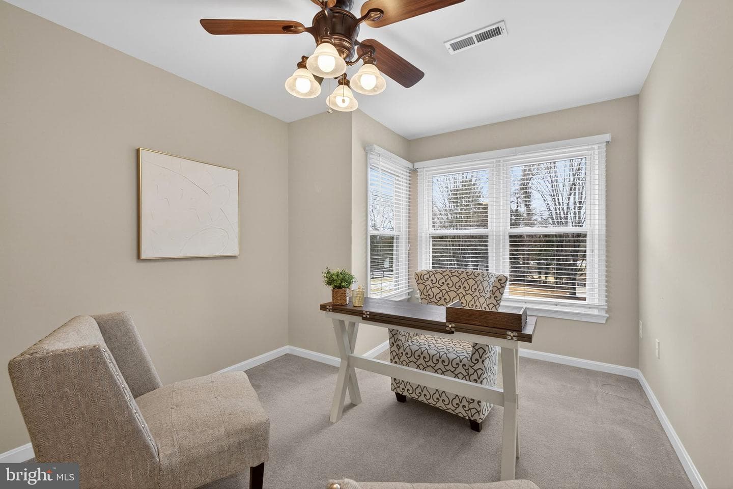 7243 Windsor Court photo 51